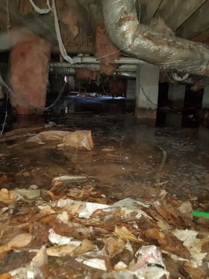 Crawl space flood assessment for Leak Detection & Repair in Kenmore